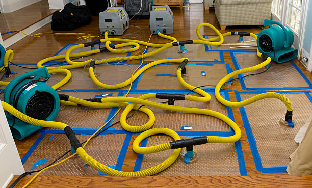 Professional Crawl Space Water Removal technician working in Placida, FL